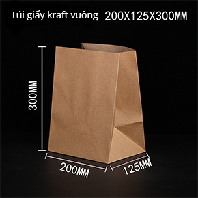Túi giấy kraft vuông